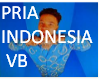 PRIA INDONESIA VB