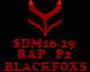 RAP - SDM16-29 - P2