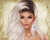 Bundle RLL
