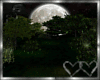Amour Moonlit Forest