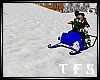 Romantic Snowmobile  /B