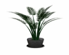 Gray potted plant