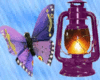 Lantern Butterfly Filler