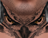 Asteri Sacred Owl Ink