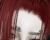 𝟭. Gar red