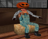 ~TQ~Scarecrow Seat