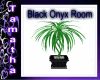 black onyx plant