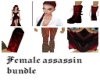 Female assassin  HW
