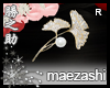 :KN Maezashi