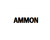 Ammon's Arm Band