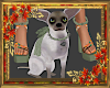 *Olivia Queen Pet