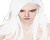 White Shoulder long