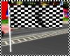 Animated RACE flag