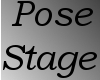 /Y/ pose stage
