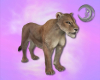 3D Lioness