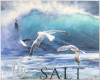 Salt Island Seagulls
