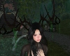 Mossy Antler RD