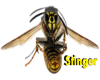 Stinger Wasp
