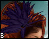 Feathers Purple Hair