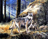 Mother's Love Wolf - Pic