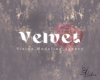 [V]Velvet Vision Agency