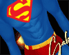 Super Man Outfit