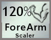 Arm scaler 120%
