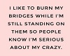 Crazy bridges