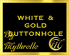 WHITE & GOLD BUTTONHOLE