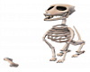 Skeleton Dog-animated