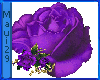 M Royal Purple Rose Lrg