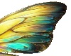 yellow wings