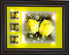 Yellow Roses Framed