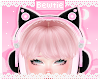 B. Black Kitty Headset