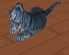 {HB} Baby Navi tiger