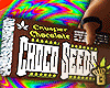 Choco Seeds!