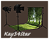 Jungle Park Photo Studio