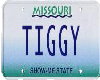 Tiggy license plate