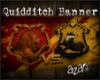 aza~ Quidditch Banner
