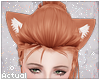 ✨ Mango Cat Ears