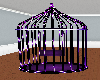 purple bird cage anim