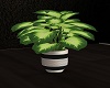 ~SL~ RSE Plant v3