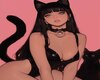 sexy kitty