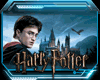 [RV] HP - Gryffindor H