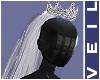 ♠ Regine Crown + Veil