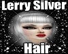 Lerry Silver Hair