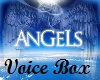 angels voicebox