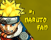 #1 Naruto Fan