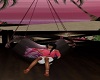 paridise hammock