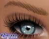 Cym Standard Eyebrows Bw